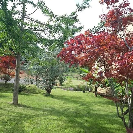 דירה Istanti - Salvia