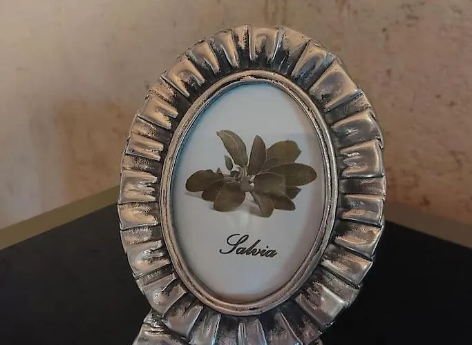 Istanti - Salvia 公寓 *